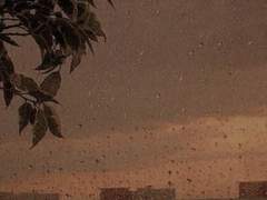 명분이 허약해지는 날