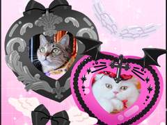 [해니마니] 매지컬 프레임