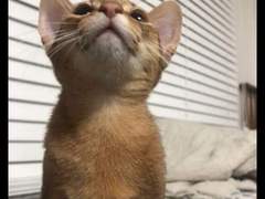 언제나 즐거운(?) 00즈 TALK 6