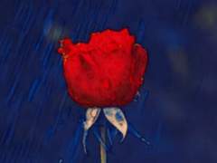 붉은 달을 닮은 允話