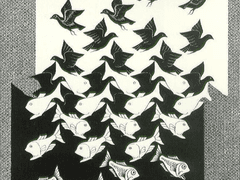 열피리에 붙잡힌 철새 1