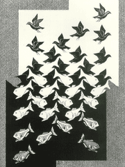 열피리에 붙잡힌 철새