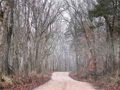 누가 병원에서 이벤트를 열어요?!