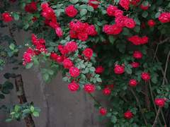 그런 취향 없습니다.