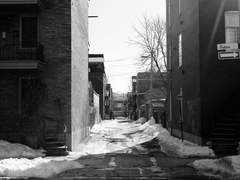 [재철재은] 타로 커미션 Ⅱ