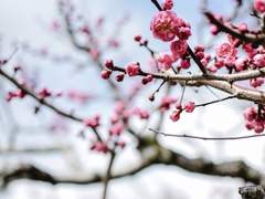 화산귀환 썰 모음 1