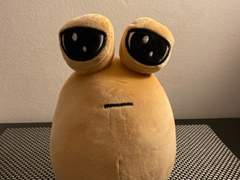 우리집 강아지 사진