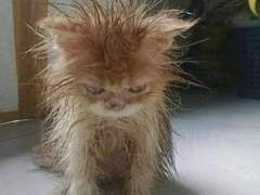 127막내 김여주 모먼트 EP.39