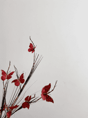 사랑은 검을 타고