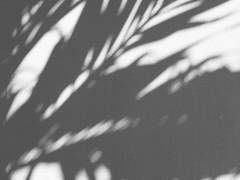 [재철재은] Skinny Love