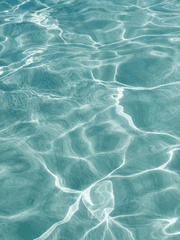 두근두근 사각관계