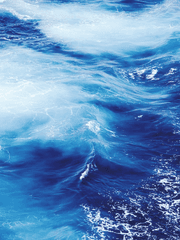 우리는 Delete:삭제 되었습니까?