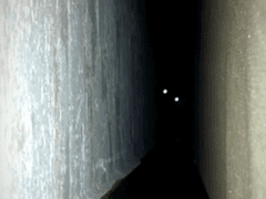 1번째 무서운 이야기