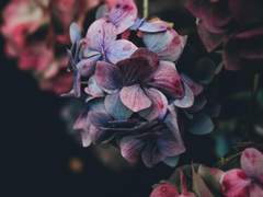 당신의 잘못은 결국 나의 고통이기에