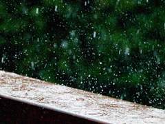 [취안진말] 내일 날씨는 맑음