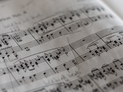 내 사랑 플레이리스트 모음집