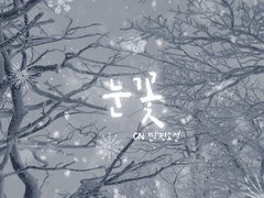 소설<눈꽃> 읽기 전에.