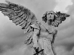 안 서홍 | 인간 | XY