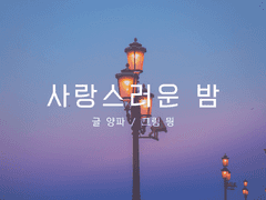 사랑스러운 밤