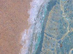 한여름 밤의 꿈4