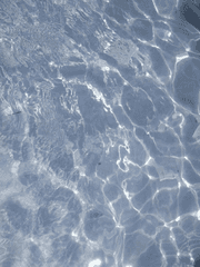 오케아노스의 나침반 :: 매튜 테 라 로즈