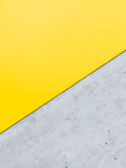 봄을 기다리는 벚꽃과 만남의 밤.