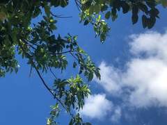 [죠르미스] Samsara