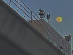 그렇게 말을 하고 나면요