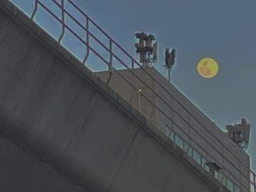 그렇게 말을 하고 나면요