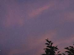 삶에 지쳐 포기하고자 하는 그대들에게