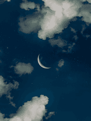 D에게 보내는 편지