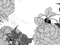 네가 바랐던 게 이런 거야?