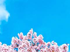 열여섯으로부터, 나의 주인공에게.