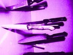 돈츄노암어가비지