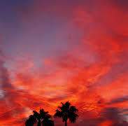 Apocalypse Romance Cliché 2