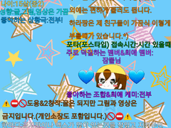 드뎌 올리는 포타프필소