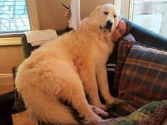 안녕, 러브 헬프!