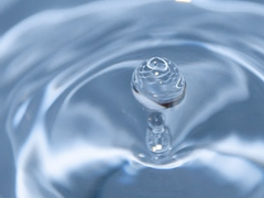 대학시절 학점 잘 받은 팁