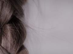 굳어버린 겨울의 순간에 꽃잎이 떨어지고,