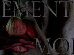 [에멧아노] Memento mori