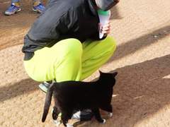 빨간 루비처럼 그놈은, 내게 자신 있는 말투로.