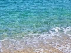 역경에 굴하지 않는 강인함