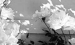 여린 목 안쪽으로 고통없는 자극이 쏟아진다.