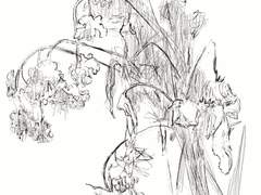 내 것이 아니지만 내 사람들인 다정한 사람들