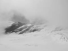 사람은 무엇으로 사는가