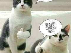 2022 글커미션 공지