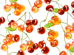 랄미 체리 브러쉬