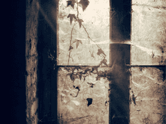 하루쨩, 지하실, 동거.