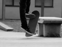 스케이트 보드 움짤(2)