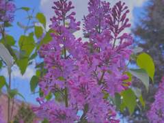 𝑌𝑜𝑢’𝑟𝑒 𝑚𝑦 𝑠𝑖𝑔𝑛𝑖𝑓𝑖𝑐𝑎𝑛𝑡 𝑜𝑡ℎ𝑒𝑟.